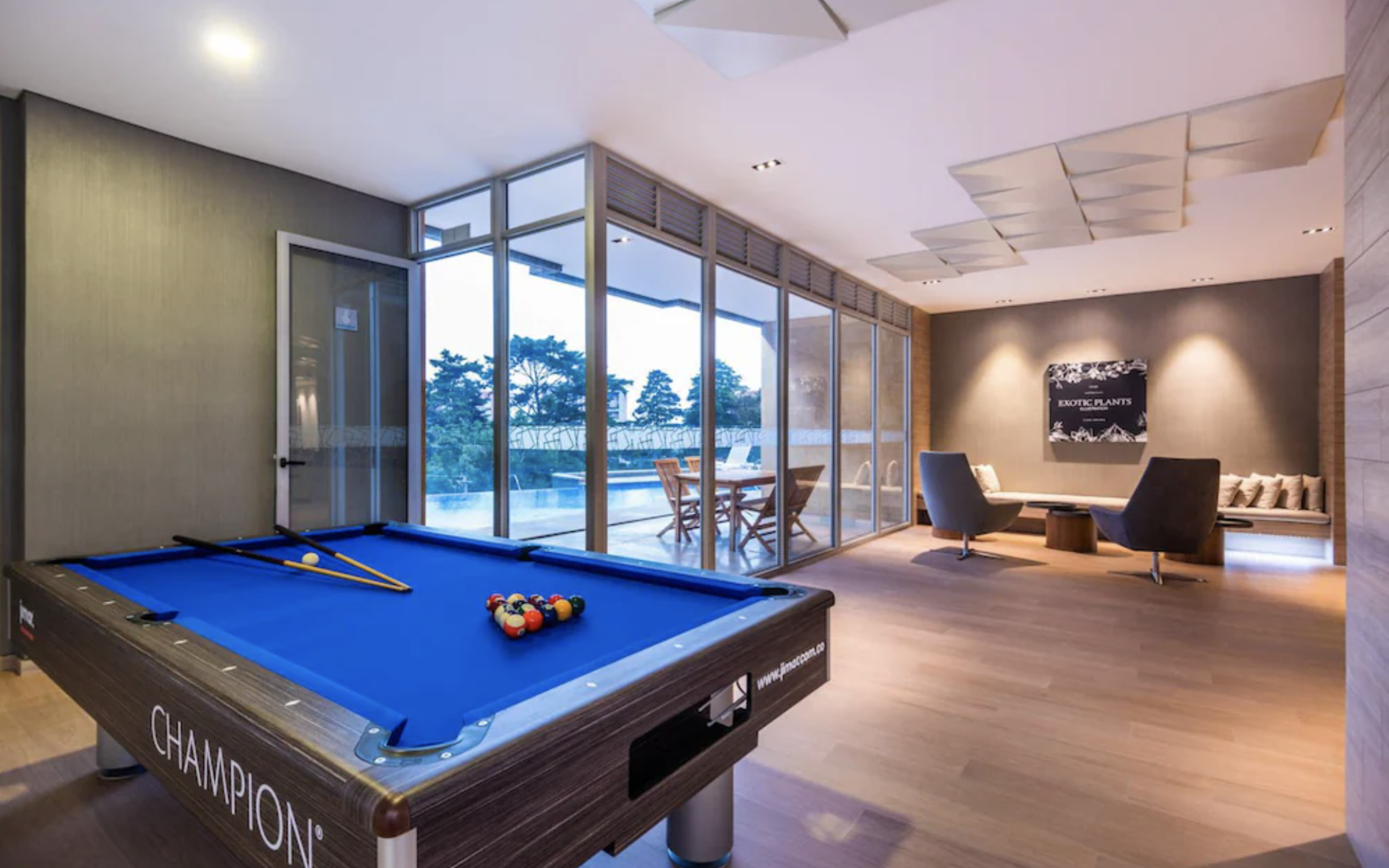 Copia de DSC06738-Editar